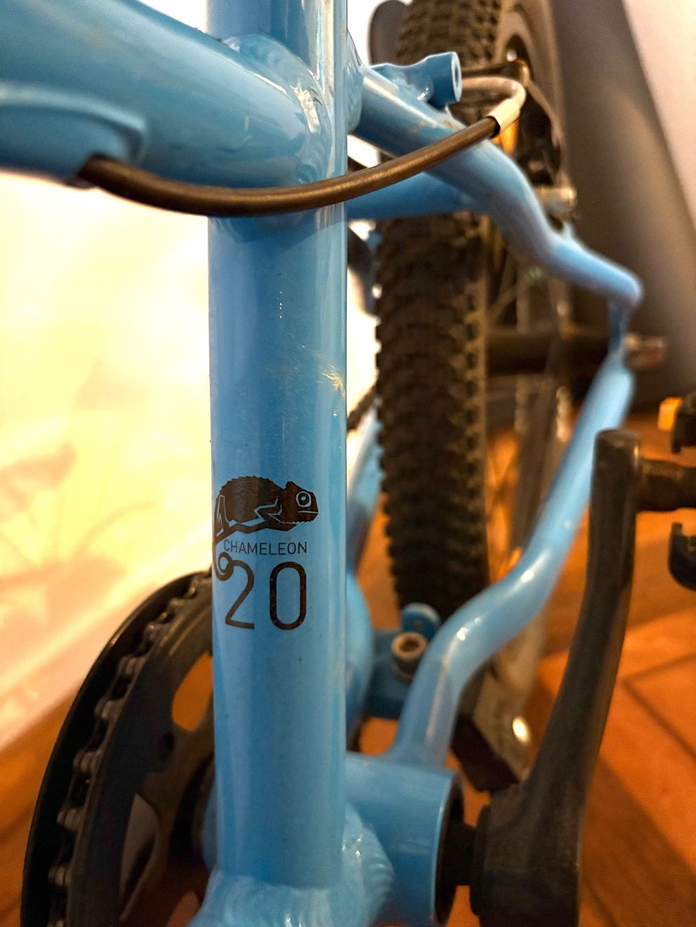 Naloo Velos: Naloo Chameleon 20 – Gebraucht aus Märstetten von richard-dankt 6