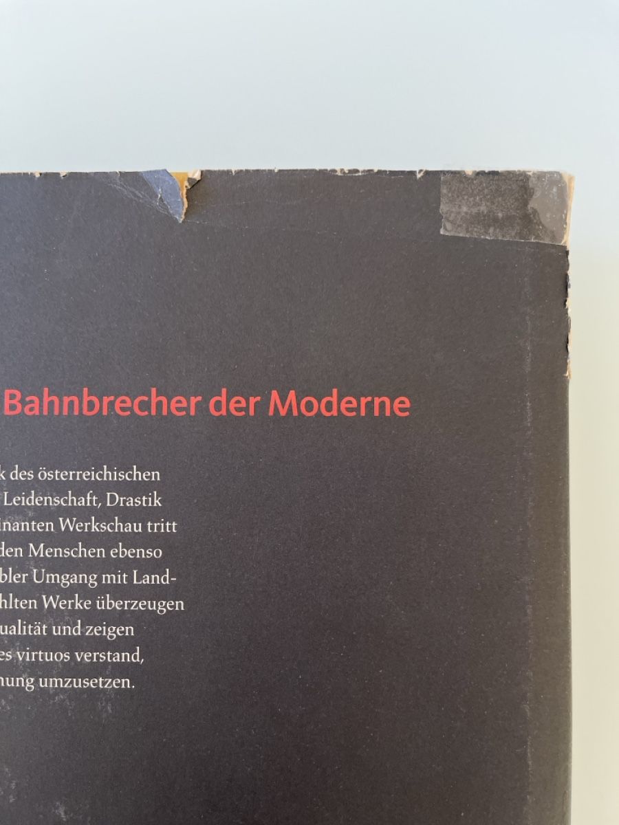 Libri: Egon Schiele -  Bahnbrecher der Moderne – Usato da Schlieren venduto da tagesanzeiger50 2