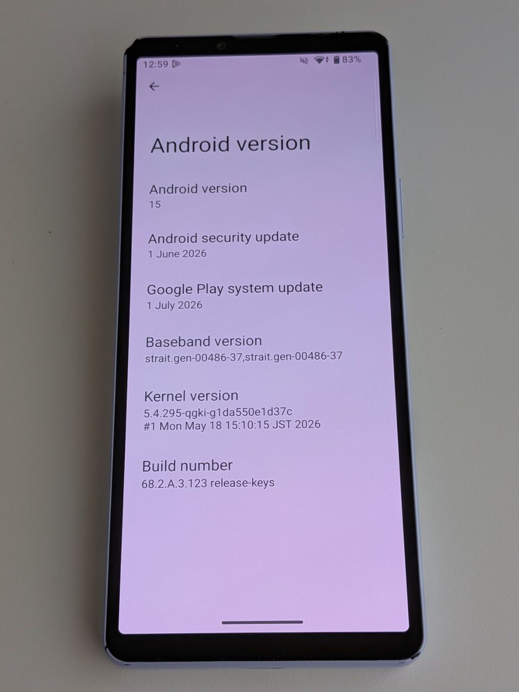 Sony Handys / Smartphones: Sony Xperia 10V (used, functional) – Gebraucht aus Zürich von datacompboy