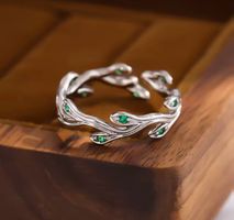 Ring Verstellbar