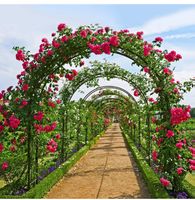 Rosenbogen Rosenrankhilfe Torbogen Gartenbogen Pflanzenbogen