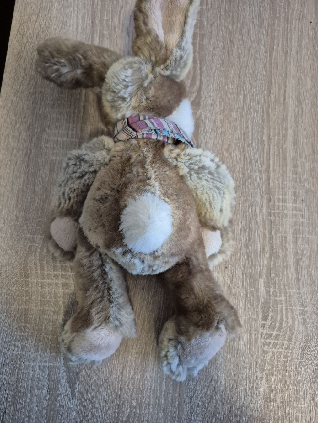 Steiff Giocattoli: Steiff Hase Plüschtier – Usato da Schöfflisdorf venduto da kin_2dp9 1