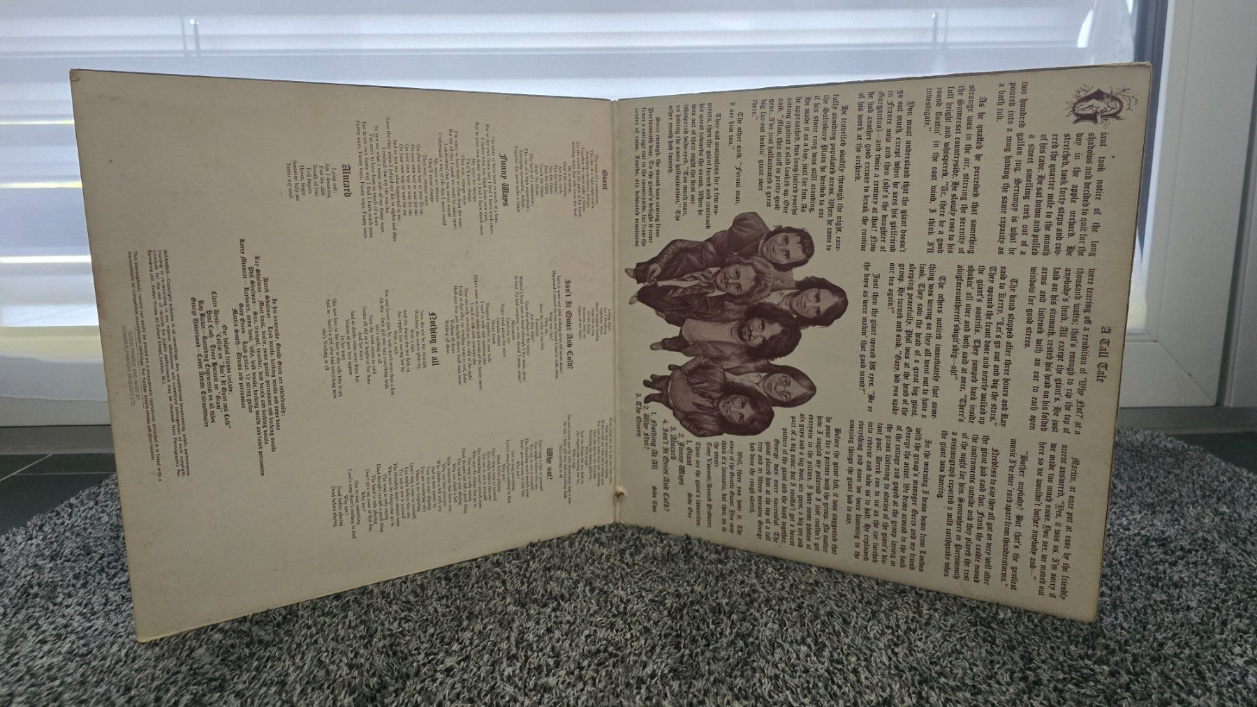 Dischi in vinile: Gentle Giant Sammlung - Vinyl Schallplatten – Usato da Worblaufen venduto da Maeder14B 8