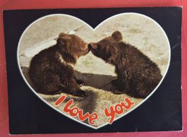 Bären "I love you" Bern 1989