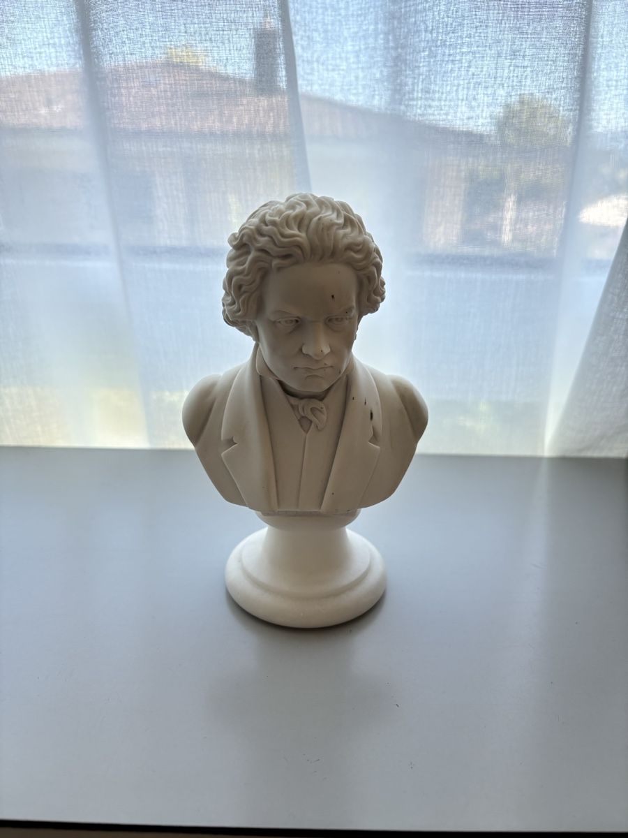 Sculture & Statue: Beethoven Buste Dekofigur weiss gebraucht – Usato da Luzern venduto da bro_c8pg