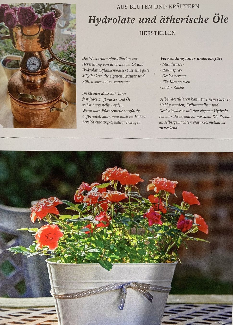 Riviste & Magazine: 2 Hefte: FREUDE AM GARTEN  -  EIN SCHWEIZER GARTENMAGAZIN – Nuovo e nell'imballaggio originale da Birsfelden venduto da Emporio82 7