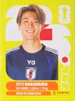 Panini FIFA World Cup JPN 15