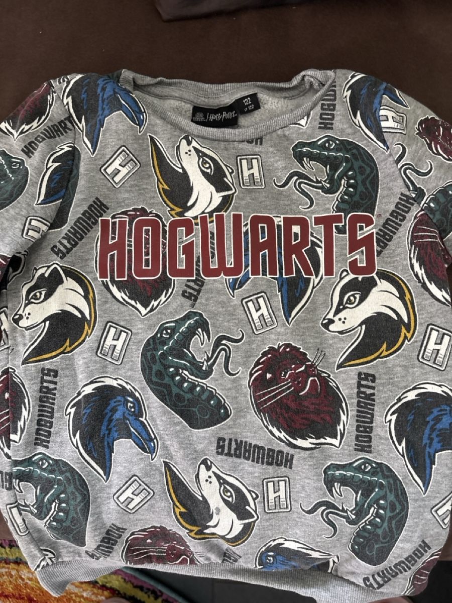 Pullover & Sweatshirts: Harry Potter Pullover – Gebraucht aus Spreitenbach von bea_wrh6 1