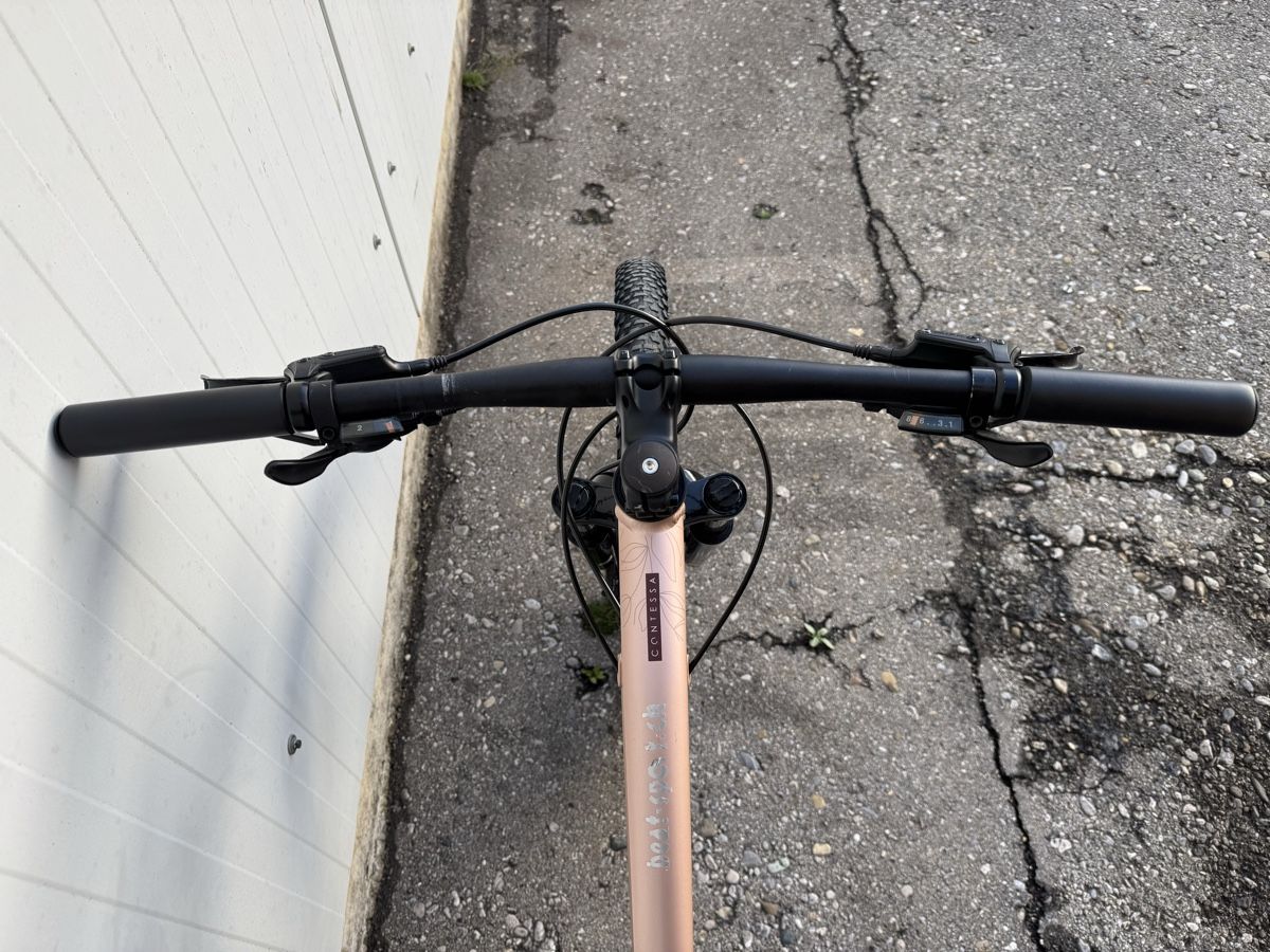 Scott Biciclette: Scott contessa 29 Zoll  – Usato da Widnau venduto da Barbaros82 8
