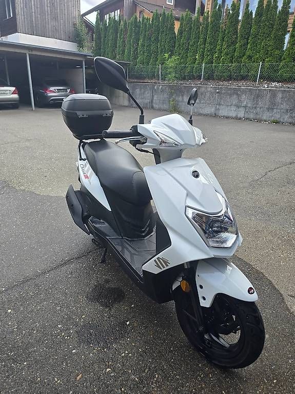 Scooters: Roller 125 1 jährig  – Gebraucht aus Gwatt (Thun) von shlufi