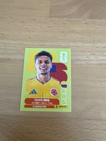Panini FIFA World Cup 2026 Richard Rios COL 12