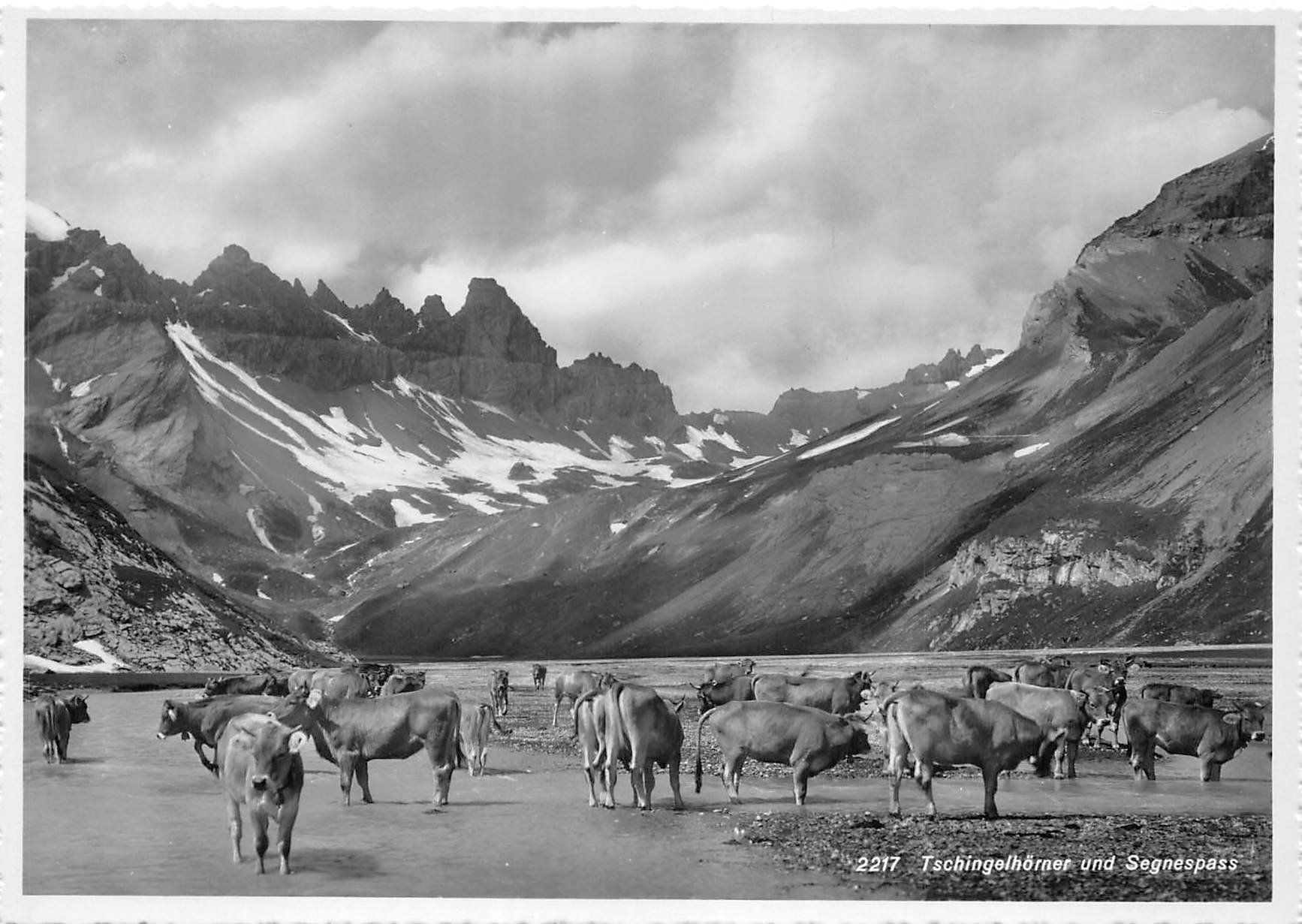 Cartoline postali: Segnespass, Tschingelhörner, Kühe – Usato da Ottikon b.Kemptth. venduto da Neptun1974