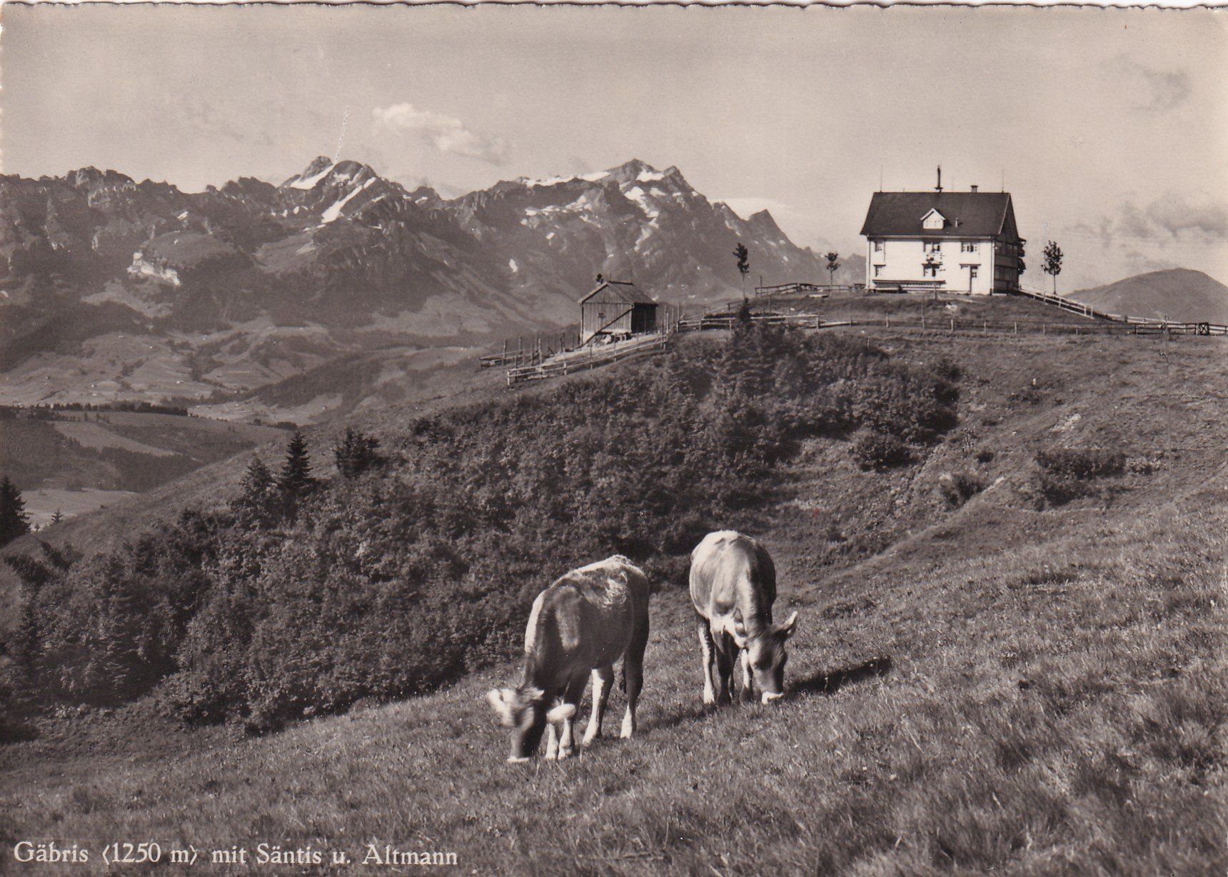 Cartes postales: Gäbris mit Säntis u. Altmann – D'occasion à Cormoret par Pascalll2001