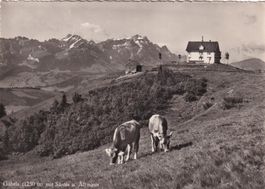 Gäbris mit Säntis u. Altmann