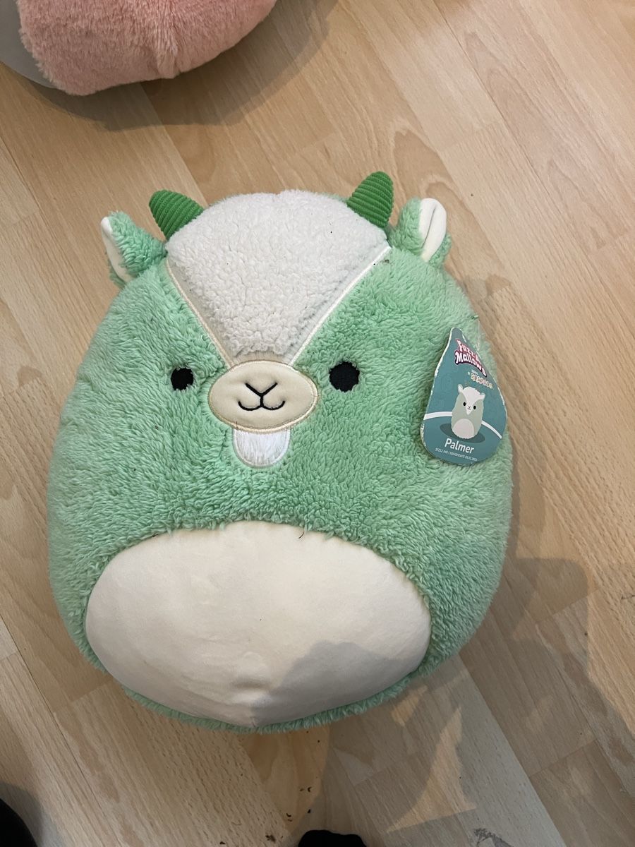Squishmallows Giocattoli: Squishmallows Kuscheltiere, 3 Stk – Usato da Schaan venduto da jassyb1 1