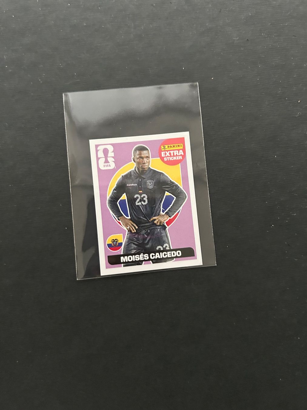 Panini Cartes à collectionner: Panini Extra Sticker Moises Caicedo lila + Bronze – Neuf (Voir description) à Zürich par Yvo619