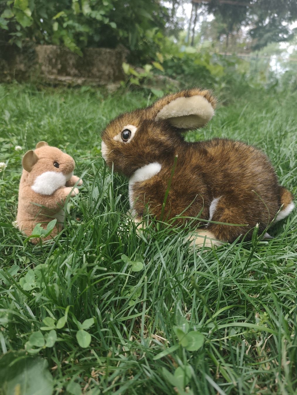 Spielzeuge: Hase und Hamster Plüschtier  – Gebraucht aus Wald ZH von Enyafay 1