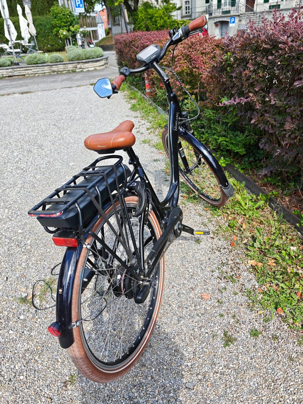 Riese & Müller Velos: e-Bike Riese&Müller, blueLABEL Swing harmony – Gebraucht aus Cham von garom 3