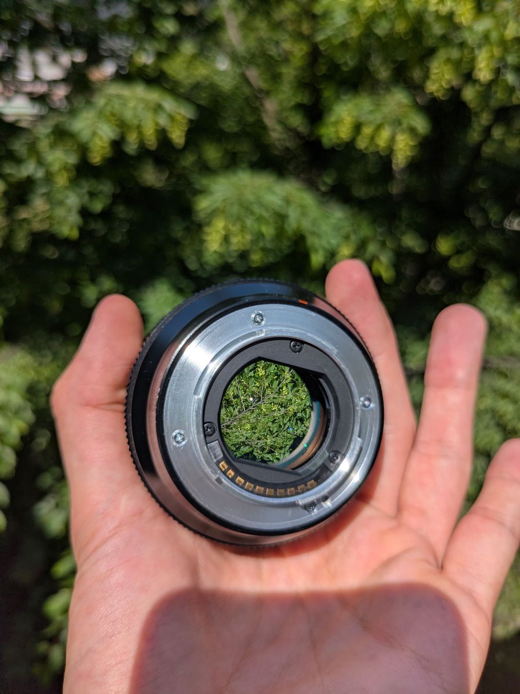 Fuji Obiettivi: Fujinon XF56 F1.2 R – Usato da Basel venduto da adr_gmt9 4