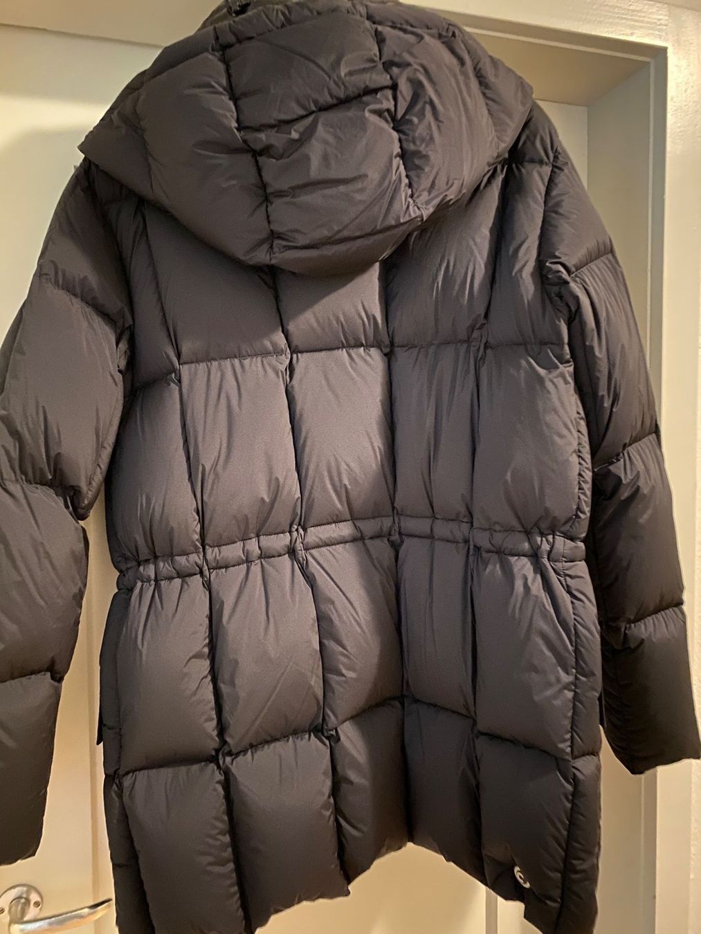 Colmar Vestes: COLMAR WINTERJACKE – Neuf (Voir description) à Thun par Jt_ON 1
