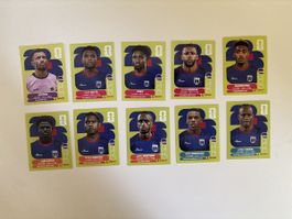 Panini: CPV 2,3,5,6,7,8,11,12,15,16