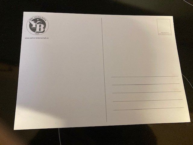 Foto & Immagini: Yb Mannschaftsbild Postkarte   Saison Unbekant – Usato da Naters venduto da sch_9fvg 1