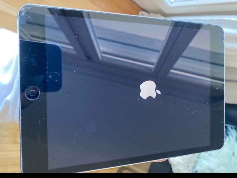 Ipad mini 2 A1489 WiFi 16GB mit Hülle Kaufen auf Ricardo