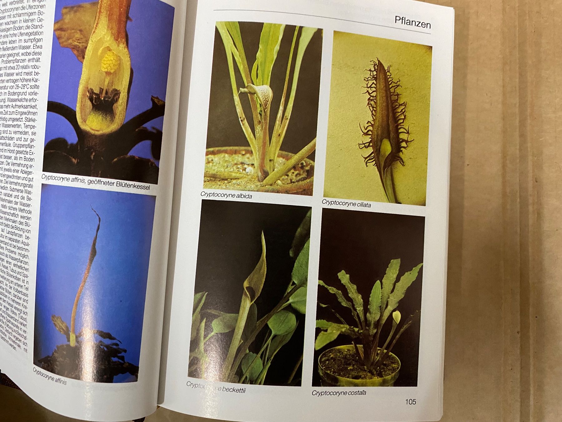 Libri: Aquarien Atlas Bd. 2 – Usato da Eschlikon TG venduto da ArtRec 1