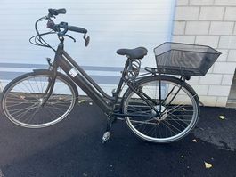 Leopard City Cruiser