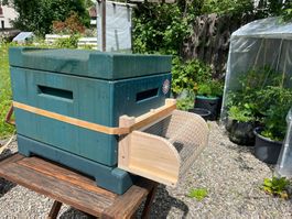 Velutina-Anflugschutz „Maulkorb“ für Frankenbeute Flachboden