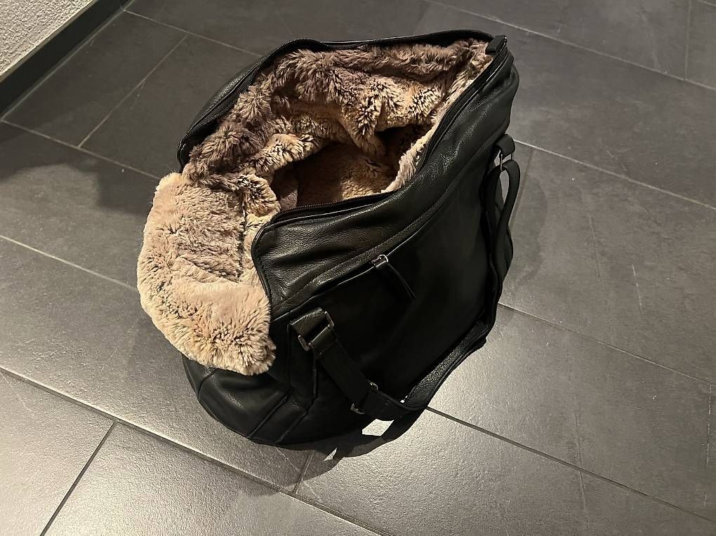 Borse: Hundetasche aus Leder – Nuovo e nell'imballaggio originale da Meilen venduto da SandyB211