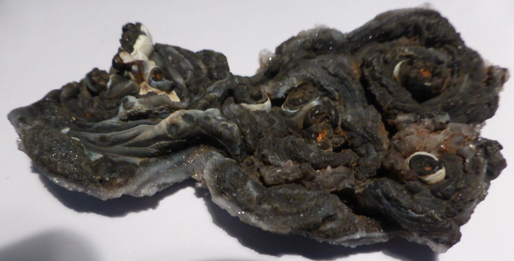 Minerali & Pietre curative: HALB- EDELSTEIN--CHALCEDON---8,5 x 5,5 CM, GRAU-BLAU – Usato da Zürich venduto da tritonis 3