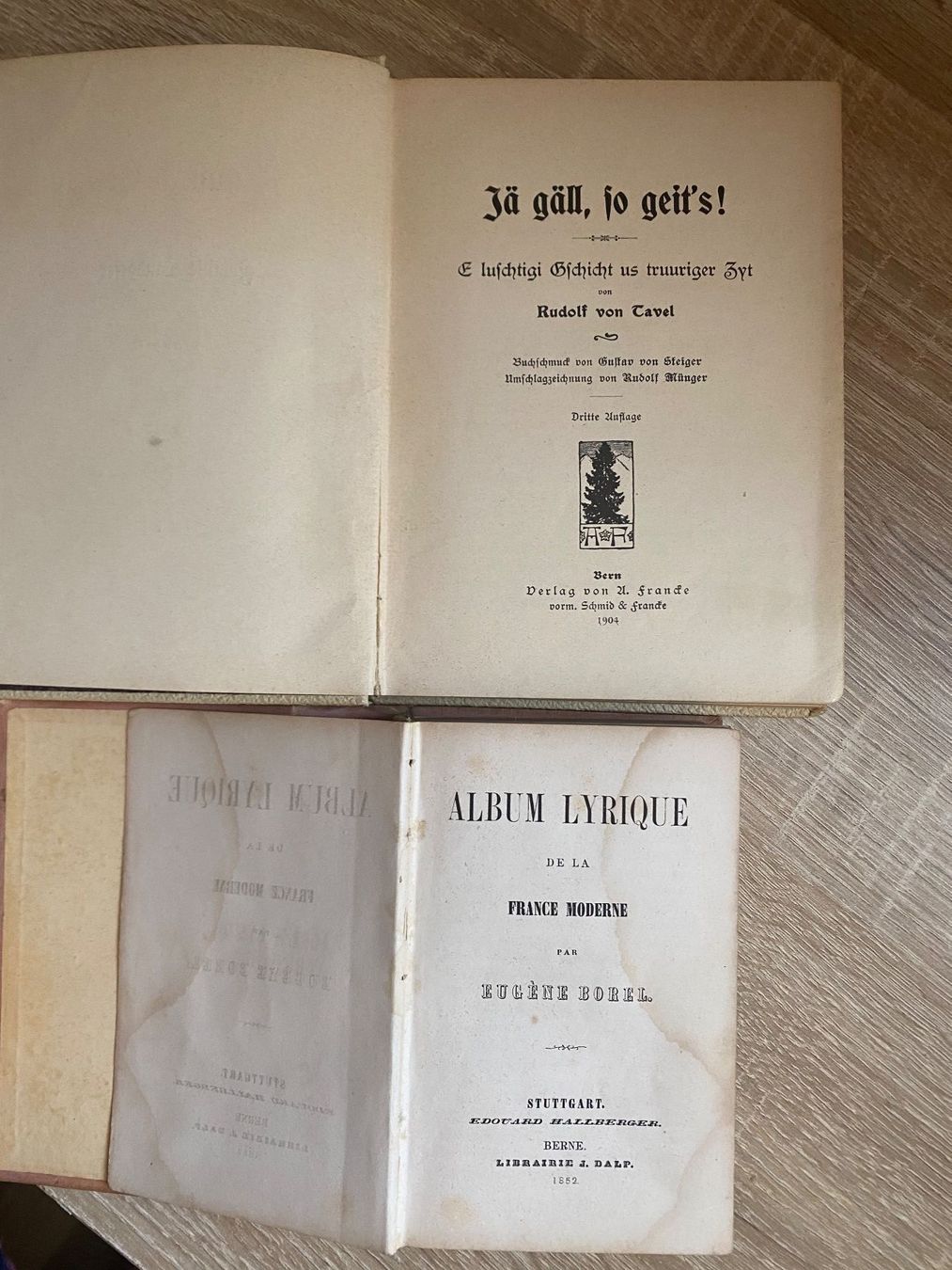 Libri: 2 Bücher antik 1853 - 1904 – Usato da Bösingen venduto da Trigusik 2