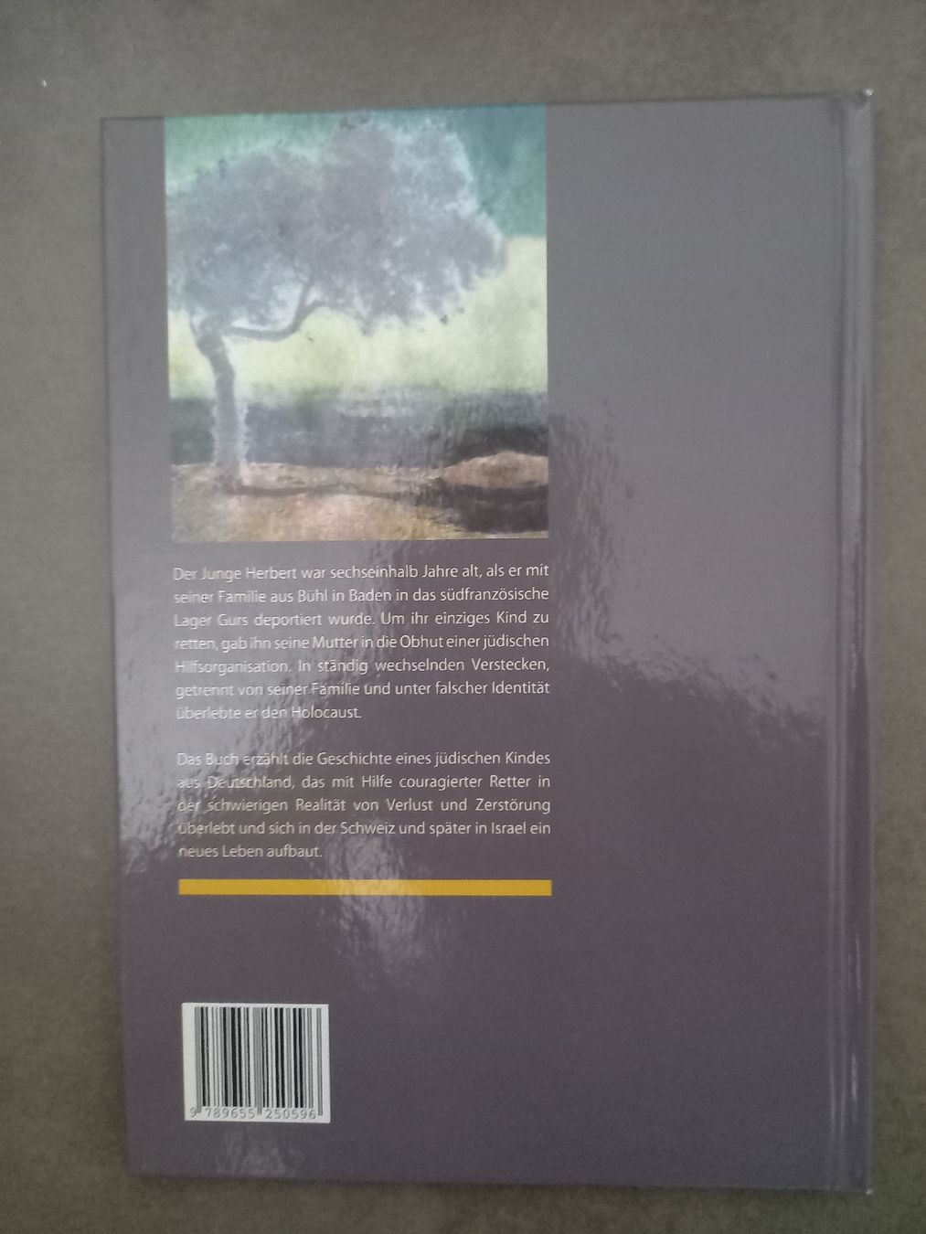 Bücher: Im Versteck - Naomie Morgenstern – Gebraucht aus Steinhausen von Pharo2011 1