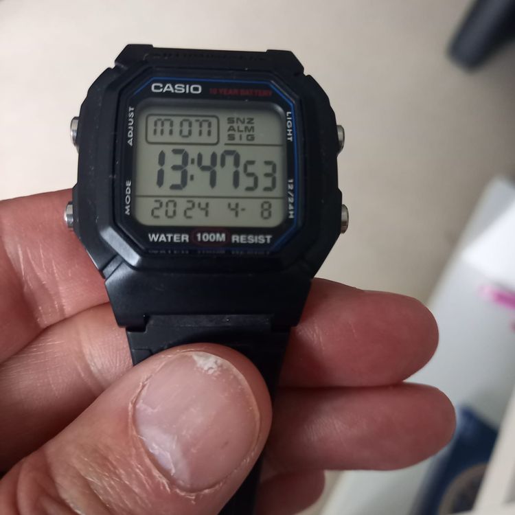 CASIO W-800H | Kaufen auf Ricardo