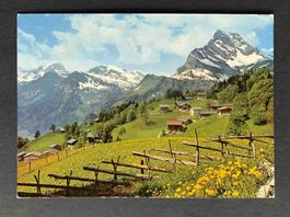 AK Braunwald Schweiz Der autofreie Ferienort der Ostschweiz