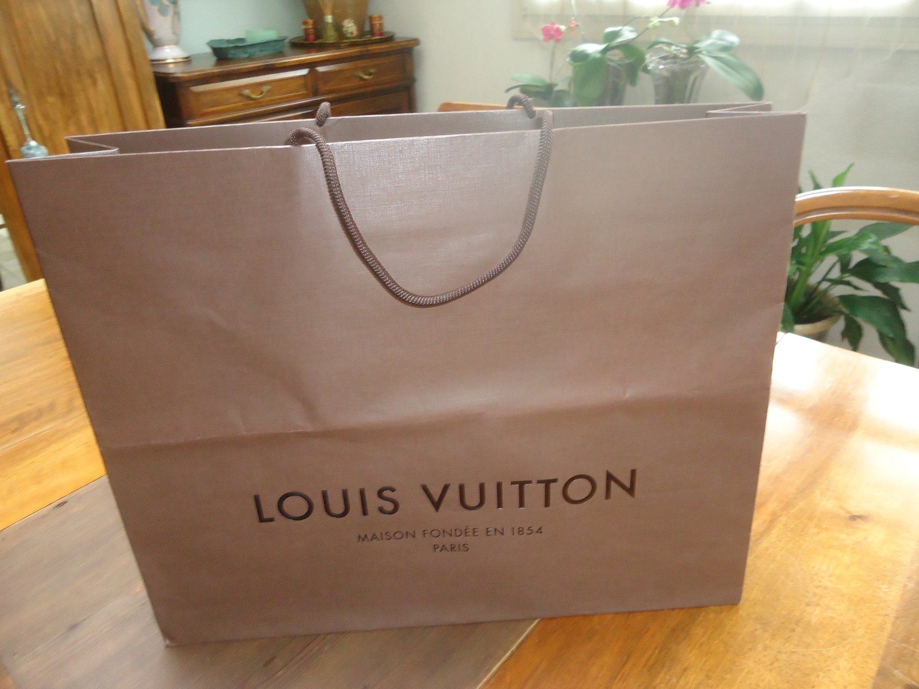 Louis Vuitton Borse: Sac en papier Louis Vuitton – Usato da Vessy venduto da mafabe