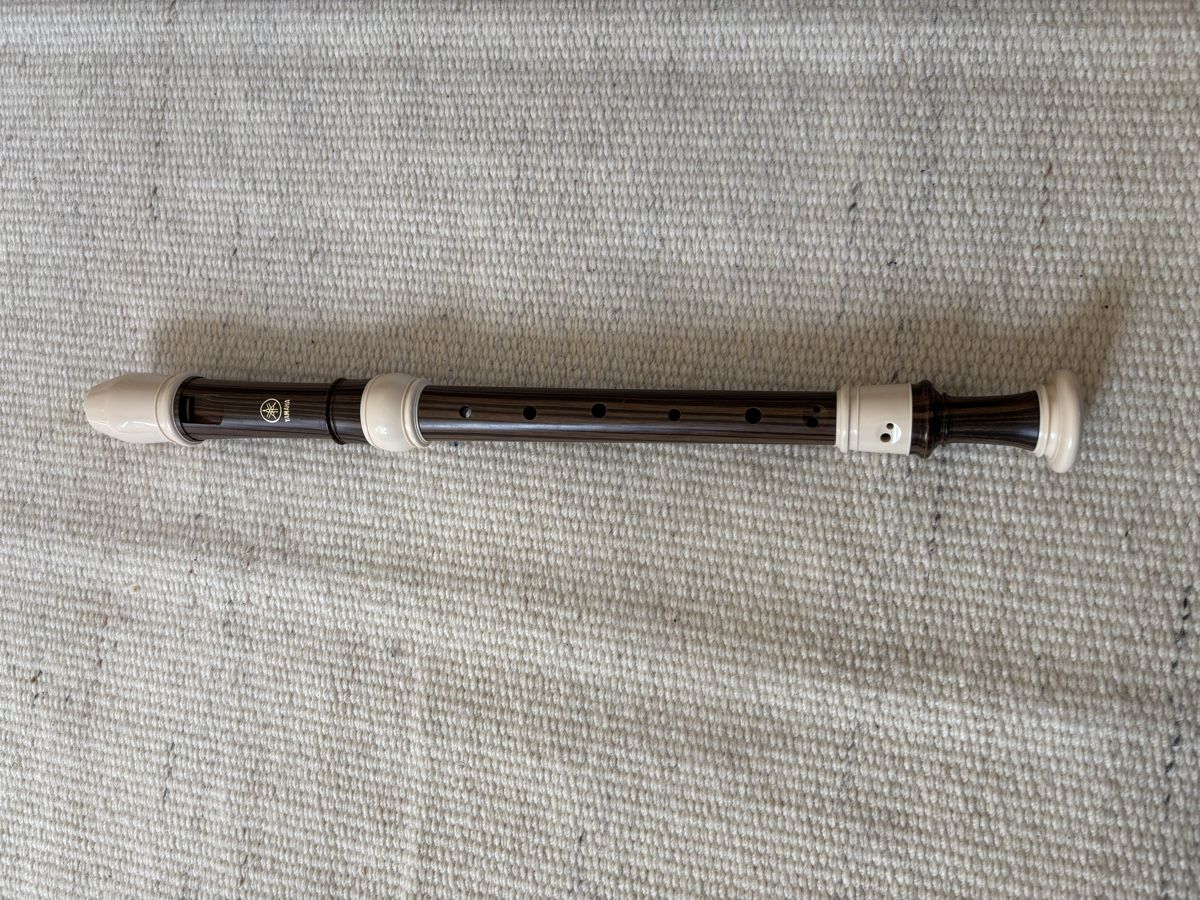 Yamaha Strumenti musicali: Blockflöte Yamaha (B) – Usato da Bern venduto da wisemagpie 6