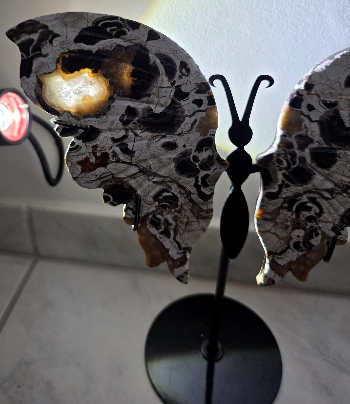 Minerali & Pietre curative: Money Agate Schmetterling – Nuovo e nell'imballaggio originale da Matzingen venduto da Shay_Crystalz 1