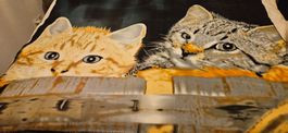 Decke mit Katzenmotiv guter Zustand gebraucht