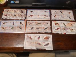 Collection de timbres oiseaux du Congo, vintage!