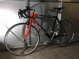 Rennvelo DA VINCI / Alurahmen / Campagnolo Schaltung