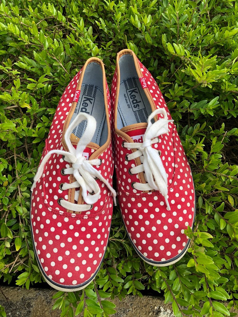 Scarpe da uomo: Sommer Turnschuhe Gr. 40,5 – Usato da Zuerich venduto da Isabelle