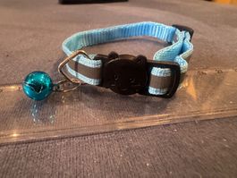 **** Schönes türkis blau reflektierendes Katzenhalsband ****
