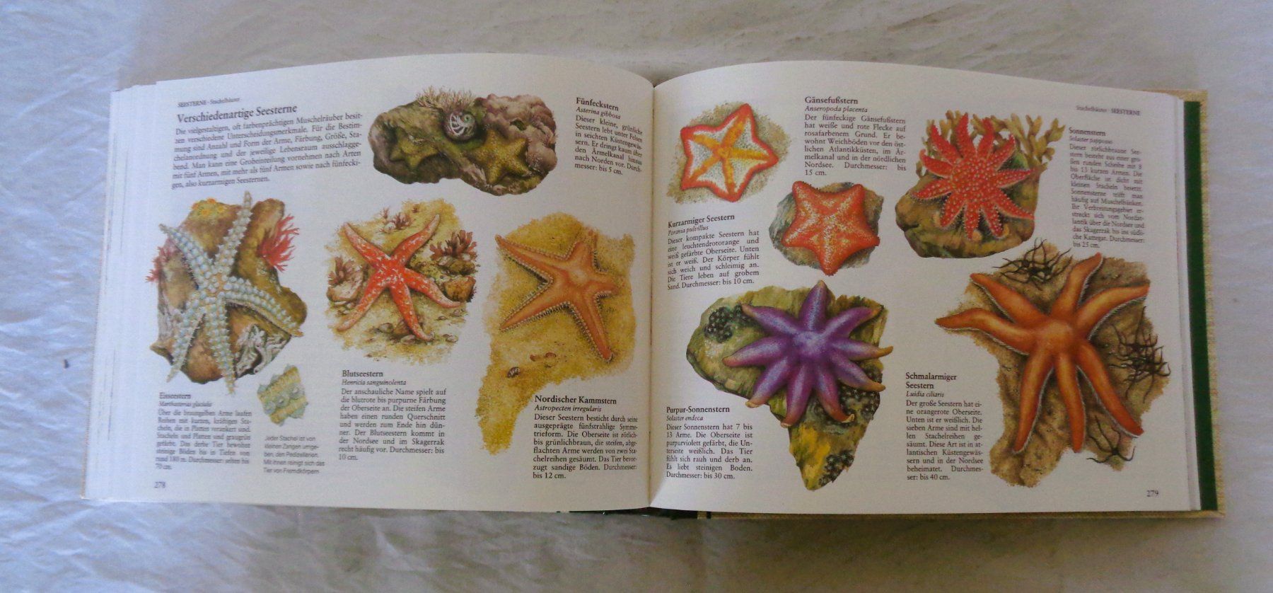 Libri: Fische + andere Wassertiere  Mitteleuropas / Buch 1986 – Usato da Bellach venduto da JingleJerry 6