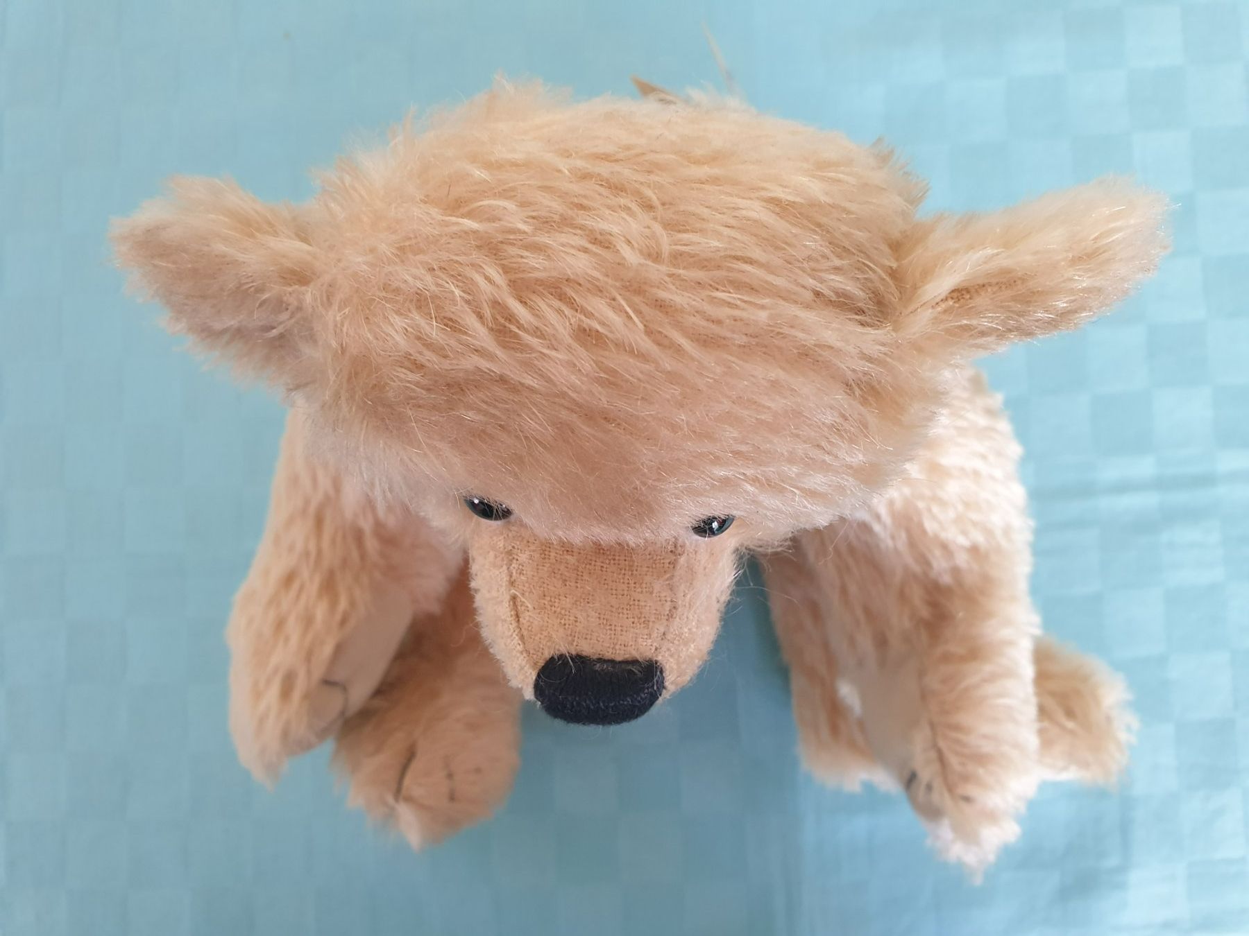 Giocattoli: Teddybär Teddy Helena Oberholzer Anna – Usato da Mörschwil venduto da spirspi 9