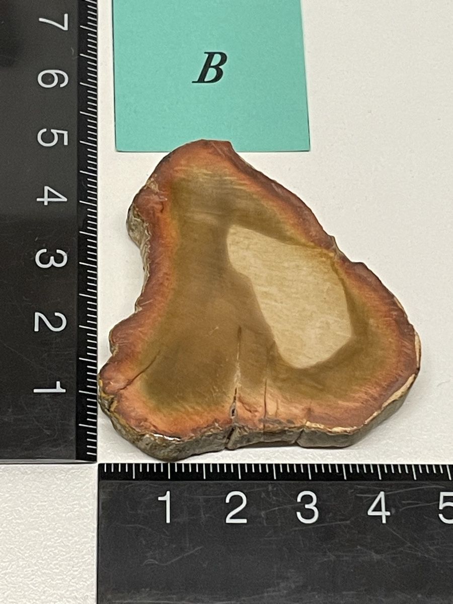 Minerali & Pietre curative: Heilstein versteinertes Holz – Usato da Rümlang venduto da euqinom16