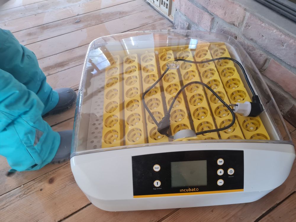 Wasserdichtes 2-Pin T-Verbindungsstück – Für Brutautomaten & Eierinkubator