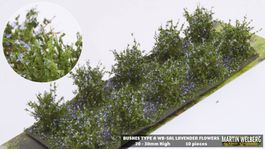Landschaftsbau Martin Welberg 10 St. Busch Lavendel Blüten