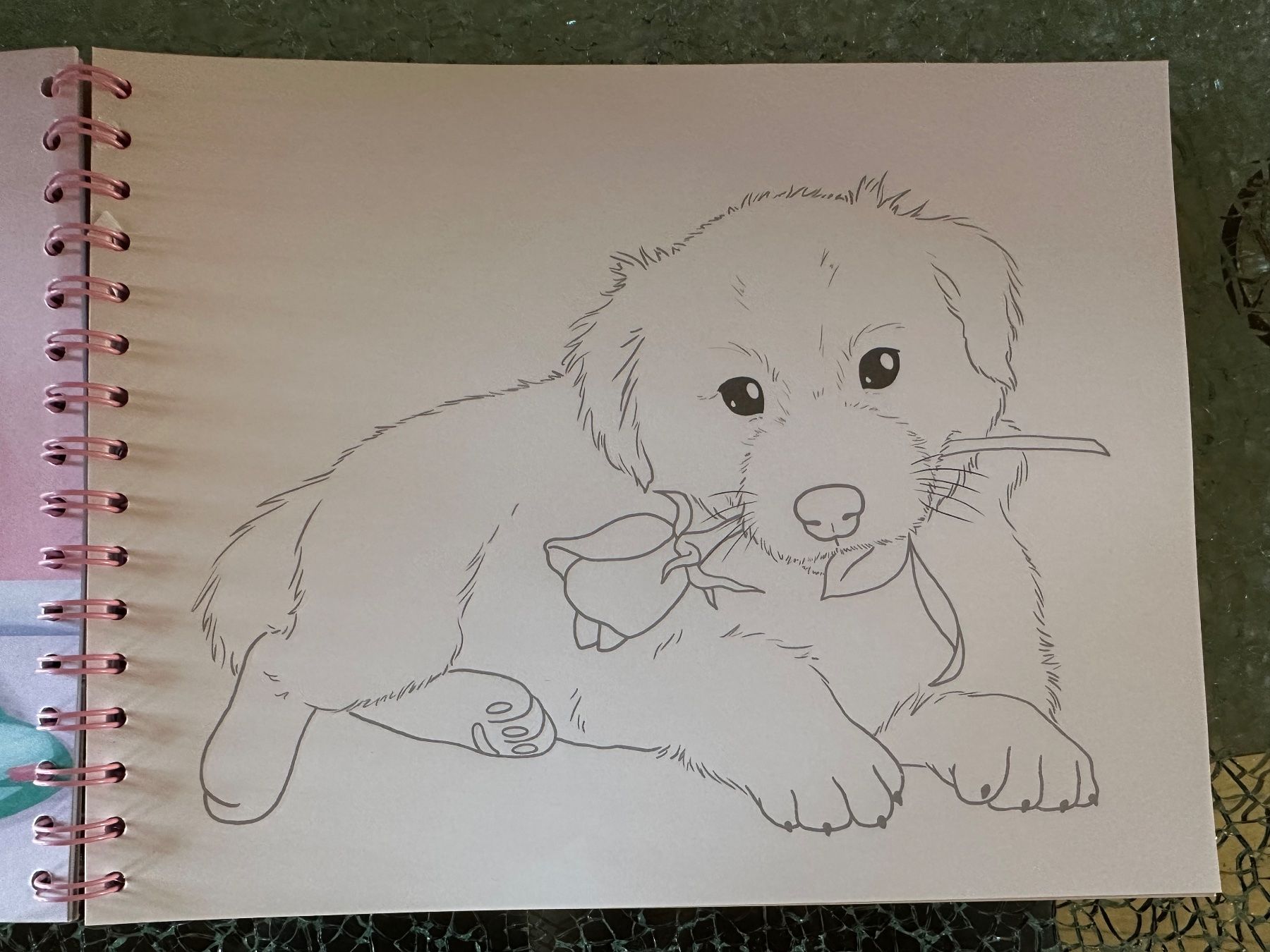 Bücher: Creative Studio Animal Love Zeichnungsheft – Gebraucht aus Riedt b. Erlen von sina.aline 4